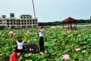 海口荷塘印象休闲农庄